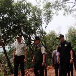 แม่ฮ่องสอน หัวหน้าเขตรักษาพันธุ์สัตว์ป่าแม่ยวมฝั่งขวา เผย ผ่อนปรนการใช้เส้นทางที่มีสถานะทางคดี ขุนแม่สอง – ห้วยกองเป๊าะ