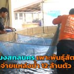 สกลนคร ประมงเพาะพันธุ์สัตว์น้ำแจกจ่ายแหล่งน้ำ 12 ล้านตัว