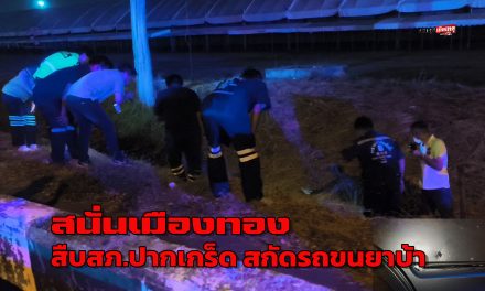 นนทบุรี ยิงสนั่น เมืองทอง ตร. สกัด ขนยาบ้า1500เม็ด ขับรถหนีชนมั่วเสียหายกว่า 4 คัน