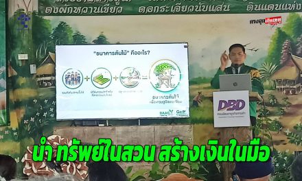 สกลนคร กรมพัฒนาธุรกิจฯ ดันไม้ยืนต้นเป็นเครื่องมือทางการเงินยุคใหม่หนุนเกษตรกร นำ ทรัพย์ในสวน สร้างเงินในมือ