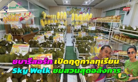 จันทบุรี  ชบารีสอร์ทเปิดฤดูกาลทุเรียน 2569 ขนทัพกว่า 30 สายพันธุ์ พร้อม Sky Walk ชมวิวสวนสุดอลังการ​