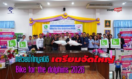 ประจวบคีรีขันธ์ กล้วยน้ำไทมูลนิธิ เตรียมจัดใหญ่ Bike for the dolphins 2026