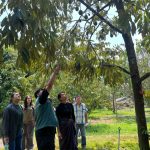 กาญจนบุรี – อำเภอทองผาภูมิ พร้อมเกษตรอำเภอ นำทีมรุกพื้นที่ “โรงเรียนเกษตรกรทุเรียนแปลงใหญ่” ขับเคลื่อนระบบตลาดนำการผลิต มุ่งเป้าเกษตรกรรายได้ยั่งยืน