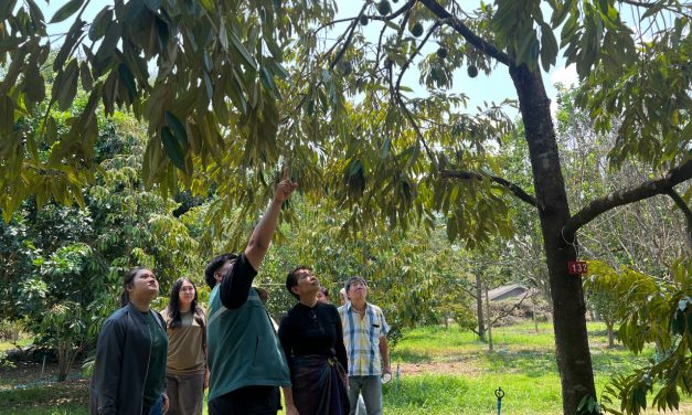 กาญจนบุรี – อำเภอทองผาภูมิ พร้อมเกษตรอำเภอ นำทีมรุกพื้นที่ “โรงเรียนเกษตรกรทุเรียนแปลงใหญ่” ขับเคลื่อนระบบตลาดนำการผลิต มุ่งเป้าเกษตรกรรายได้ยั่งยืน