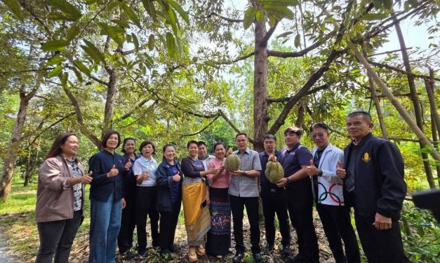 กาญจนบุรี – รองผู้ว่าฯ เปิดฤดูกาลทุเรียนเมืองกาญจน์” ประจำปี 2569 การันตีทุเรียนเมืองกาญจน์ได้มาตรฐาน “แก่จัด เนื้อแน่น ไม่มีทุเรียนอ่อน”
