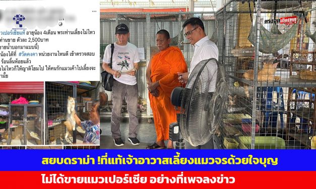 นนทบุรี สยบดราม่า ที่แท้เจ้าอาวาสเลี้ยงแมวจรด้วยใจบุญไม่ได้ขายแมว