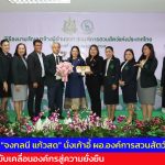 องค์การสวนสัตว์ฯ ลงนามจ้าง “จงกลนี แก้วสด” นั่งเก้าอี้ ผอ.องค์การสวนสัตว์ฯ คนใหม่ ชูวิสัยทัศน์ขับเคลื่อนองค์กรสู่ความยั่งยืน