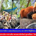 ชลบุรี สวนสัตว์เปิดเขาเขียว ฉลองวันแรงงาน ลด 20% ให้ผู้ใช้แรงงาน ชมสัตว์ทั้งกลางวัน-กลางคืน พบสมาชิกใหม่ ลูกสล๊อต “ลิตเติ้ลแฟลช”