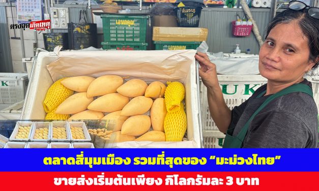 ปทุมธานี ตลาดสี่มุมเมืองรวมที่สุดของ “มะม่วงไทย” รวมสายพันธุ์ตัวท็อป ครบทุกเกรด ขายส่งเริ่มต้นเพียงกิโลกรัมละ 3 บาท
