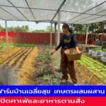 อ่างทอง สาววัย34ปี ลาออกจากงานประจำกลับมามาอยู่บ้านยึดหลักพอเพียงพึ่งพาตนเองและมีรายได้เลี้ยงครอบครัวอย่างงาม  จากการสร้างฟาร์มบ้านเฉลี่ยสุข 