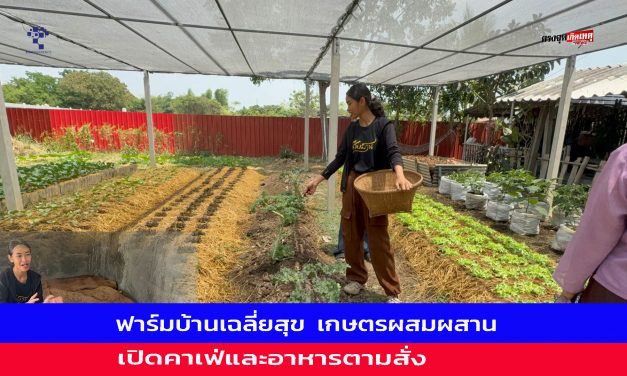 อ่างทอง สาววัย34ปี ลาออกจากงานประจำกลับมามาอยู่บ้านยึดหลักพอเพียงพึ่งพาตนเองและมีรายได้เลี้ยงครอบครัวอย่างงาม  จากการสร้างฟาร์มบ้านเฉลี่ยสุข 