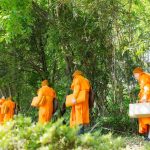ปทุมธานี ส่งเสริมสมาธิกลางธรรมชาติญี่ปุ่น เปิดพื้นที่ฝึกใจ ณ วัดป่าธรรมกายนานาชาติโทชิหงิ