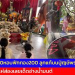 ปทุมธานี ยายวัย70 หอบฟักทอง 200 ลูกแก้บน ปู่ฤๅษีพรหมเมศ คอหวยแห่ส่องเลขเด็ดอ่างน้ำมนต์