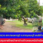 กาญจนบุรี -สภ.ทองผาภูมิสนธิกำล้ง เข้าจับกุมชาวเชียงราย นำพาต่างด้าวหลบหนีเข้าเมือง