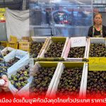 ปทุมธานี ตลาดสี่มุมเมือง จัดเต็มชูพิกัดมังคุดไทยทั่วประเทศ ราคาเริ่ม 30 บาท
