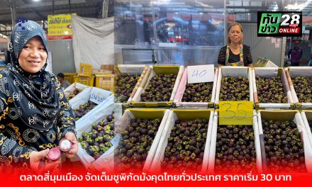 ปทุมธานี ตลาดสี่มุมเมือง จัดเต็มชูพิกัดมังคุดไทยทั่วประเทศ ราคาเริ่ม 30 บาท