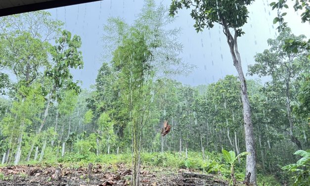 จังหวัดแม่ฮ่องสอน แจ้งประชาสัมพันธ์เตือนประชาชนเฝ้าระวังฝนตกหนัก เสี่ยงน้ำท่วมฉับพลันและดินโคลนถล่ม