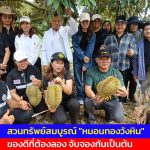 เพชรบูรณ์ สวนทรัพย์สมบูรณ์  หมอนทองวังหิน ของดีที่ต้องลอง จับจองกันเป็นต้น 