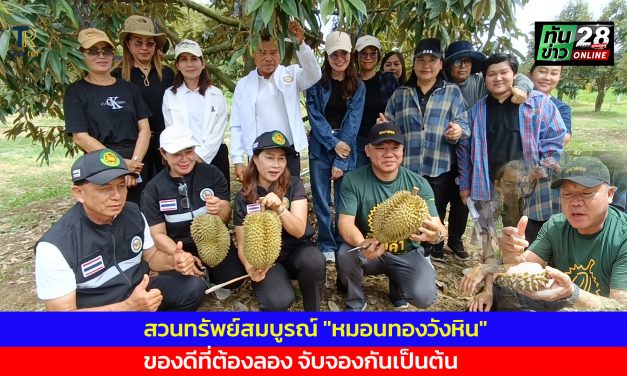 เพชรบูรณ์ สวนทรัพย์สมบูรณ์  หมอนทองวังหิน ของดีที่ต้องลอง จับจองกันเป็นต้น 