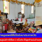 ปทุมธานี คนดวงเฮงแค่มาเยี่ยมลูกสาวไอ้ไข่วัดบึงบาดลแวะขอพรครั้งแรกปังเลย พ่อปูแม่ย่าฯให้โชค 2 ครั้งติดให้ลูกค้าแน่นร้านทุกวัน