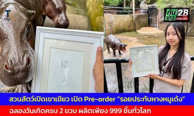 ชลบุรี สวนสัตว์เปิดเขาเขียว เปิด Pre-order “รอยประทับหางหมูเด้ง” ฉลองวันเกิดครบ 2 ขวบ ผลิตเพียง 999 ชิ้นทั่วโลก