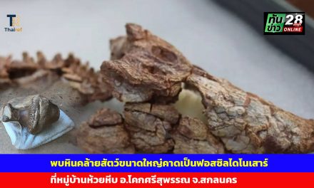 สกลนคร พบหินคล้ายสัตว์ขนาดใหญ่คาดเป็นฟอสซิลไดโนเสาร์