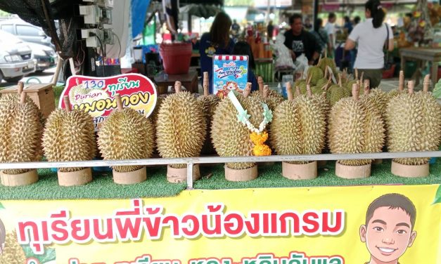 ทุเรียนหมอนทอง ของลับแล อุตรดิตถ์สีเหลืองทอง เนื้อแห้งละเอียดฟู รสชาติหวานมันกำลังดี และมีกลิ่นหอมละมุน