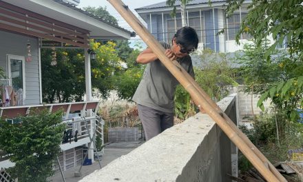 อ่างทอง ชาวบ้านในพื้นที่ตาบอด6หลังคาเรือนต้องปีนรัวออกจากบ้านหลังไปยื่นร้องศูนย์ดำรงธรรมเข้ามาไกล่เกลี่ย  ล่าสุดทางเจ้าของพื้นที่ได้ทำการล้อมรั้วพื้นที่แล้ว 