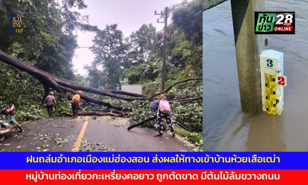 ฝนถล่มอำเภอเมืองแม่ฮ่องสอน ส่งผลให้ทางเข้าบ้านห้วยเสือเฒ่า หมู่บ้านท่องเที่ยวกะเหรี่ยงคอยาว ถูกตัดขาด มีต้นไม้ล้มขวางถนน