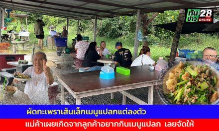 อ่างทอง เมนูเด็ดตามใจลูกค้าปิ๊งไอเดียผัดกะเพราเส้นเล็กเมนูแปลกแต่ลงตัวเริ่มต้นเพียง40บาท  ด้านแม่ค้าเผยเกิดจากลูกค้าอยากกินเมนูแปลก  เลยจัดให้