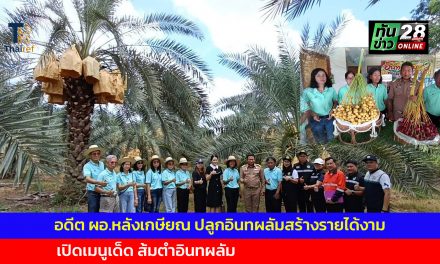 เพชรบูรณ์ อดีต ผอ.หลังเกษียณ ปลูกอินทผลัมสร้างรายได้งาม เปิดเมนูเด็ด ส้มตำอินทผลัม