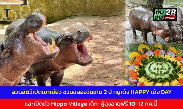 ชลบุรี สวนสัตว์เปิดเขาเขียว ชวนฉลองวันเกิด 2 ปี หมูเด้ง HAPPY เด้ง DAY และเปิดตัว Hippo Village เด็ก-ผู้สูงอายุฟรี 10–12 กค.นี้