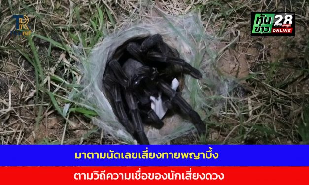 อ่างทอง มาตามนัดเลขเสี่ยงทายพญาบึ้งตามวิถีความเชื่อของนักเสี่ยงดวง  งวดนี้ได้ 3 ตัวเน้น ๆ 