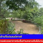 อ่างทอง ว๊าววิวหลักล้านท๊อปแลนด์คาเฟ่นั่งจิบชากาแฟบรรยากาศร่มรื่นท่ามกลางต้นไม้นานาชนิดในพื้นที่16ไร่ 