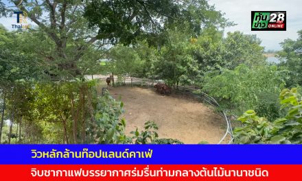 อ่างทอง ว๊าววิวหลักล้านท๊อปแลนด์คาเฟ่นั่งจิบชากาแฟบรรยากาศร่มรื่นท่ามกลางต้นไม้นานาชนิดในพื้นที่16ไร่ 