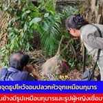 นครนายก ชาวบ้านจุดธูปไหว้จอมปลวกหัวจุกเหมือนกุมารแถมด้านข้างมีรูปเหมือนกุมารและรูปผู้หญิงเชื่อมาให้โชค
