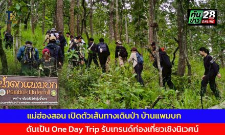 แม่ฮ่องสอน เปิดตัวเส้นทางเดินป่า “บ้านแพมบก” ดันเป็น One Day Trip รับเทรนด์ท่องเที่ยวเชิงนิเวศน์