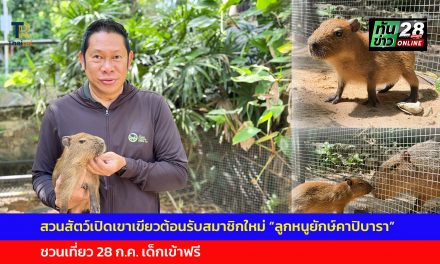 ชลบุรี สวนสัตว์เปิดเขาเขียวต้อนรับสมาชิกใหม่ “ลูกหนูยักษ์คาปิบารา” สุดคิวท์ ชวนเที่ยว 28 ก.ค. เด็กเข้าฟรี