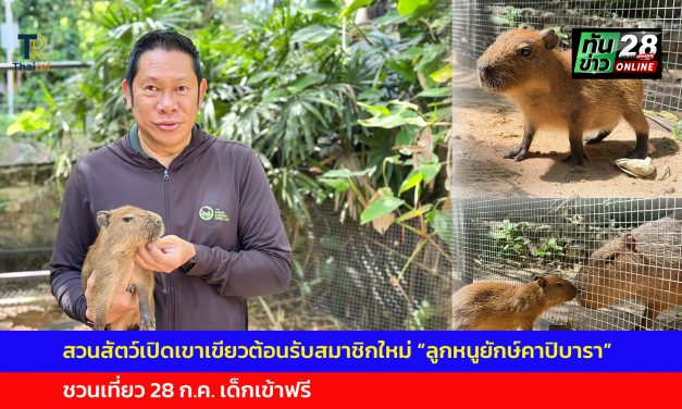 ชลบุรี สวนสัตว์เปิดเขาเขียวต้อนรับสมาชิกใหม่ “ลูกหนูยักษ์คาปิบารา” สุดคิวท์ ชวนเที่ยว 28 ก.ค. เด็กเข้าฟรี
