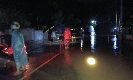 เมืองแม่ฮ่องสอนอ่วม เดือดร้อนกลางดึก หลังฝนตกหนัก เกิดน้ำป่าไหลหลากท่วมบ้านเรือนราษฎร ต้นไม้ล้มปิดถนน ดินสไลด์