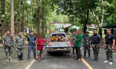 กาญจนบุรี อุทยานแห่งชาติไทรโยค เดินหน้าปราบปรามการบุกรุกป่า จับ 2 มอดไม้คากองไม้จั่น-ยอป่า