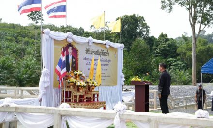 จ.พังงา ปล่อยพันธุ์สัตว์น้ำเฉลิมพระเกียรติพระบาทสมเด็จพระเจ้าอยู่หัว