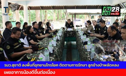 กาญจนบุรี รมว.สุชาติ ลงพื้นที่อุทยานไทรโยค ติดตามการรักษา ลูกช้างป่าพลัดหลง  เผยอาการน้องดีขึ้นต่อเนื่อง