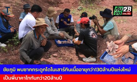 ชัยภูมิ พบซากกระดูกไดโนเสากินเนื้ออายุกว่า130ล้านปีแห่งใหม่ เป็นพี่นาคาไททันกว่า20ล้านปี