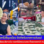 ปทุมธานี ตลาดดอกไม้สี่มุมเมือง จัดทัพรับเทศกาลวันแม่ ชูพวงมาลัยมะลิชาววัง-ดอกไม้ครบวงจร ที่จอดรถกว่า 4,000 คัน