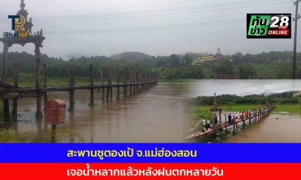 แม่ฮ่องสอน  สะพานซูตองเป้เจอน้ำหลากแล้วตามคาดหลังฝนตกหลายวัน