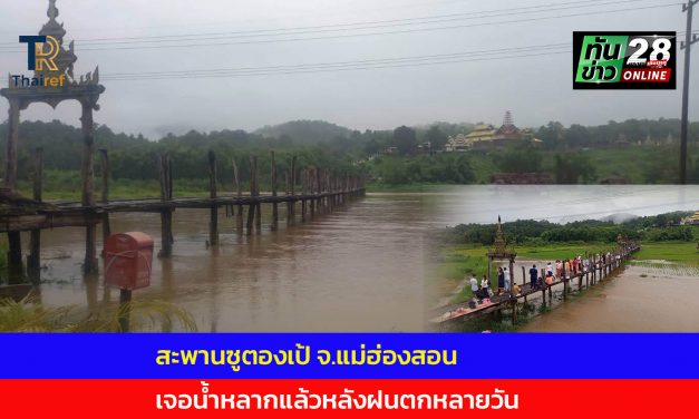 แม่ฮ่องสอน  สะพานซูตองเป้เจอน้ำหลากแล้วตามคาดหลังฝนตกหลายวัน