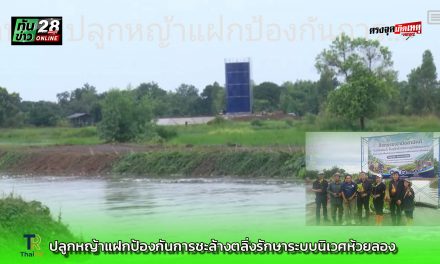 สกลนคร ปลูกหญ้าแฝก ป้องกันการชะล้างตลิ่ง รักษาระบบนิเวศห้วยลอง