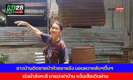 อุทัยธานี ชาวบ้านติดชายป่ารั่วห้วยขาแข้ง นอนผวาหลับๆตื่นๆ เร่งนำสังกะสีมาแปะฝาบ้าน หวั่นเสือเดินผ่าน