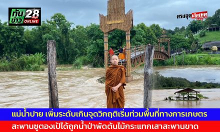 แม่ฮ่องสอน สถานการณ์แม่น้ำปายหลังน้ำป่าทะลักลงแม่น้ำปาย เพิ่มระดับเกินจุดวิกฤติเริ่มท่วมพื้นที่ทางการเกษตร ขณะที่สะพานซูตองเป้ได้ถูกน้ำป่าพัดต้นไม้กระแทกเสาสะพานขาด